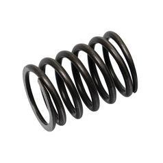 [S.61906] Spring Valve