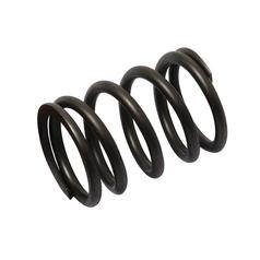 [S.62066] Spring Valve