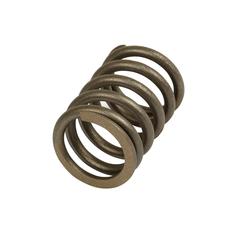 [S.57606] Spring Valve - Intake/Exhaust