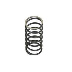 [S.40499] Valve Spring - Inner