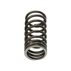 [S.40501] Valve Spring - Inner