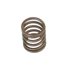 [S.30015] Valve Spring - Outer