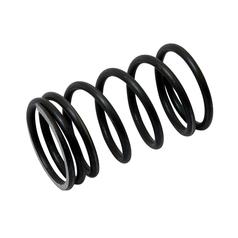 [S.40504] Valve Spring - Outer