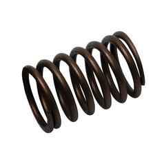 [S.40505] Valve Spring - Outer