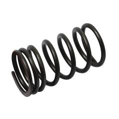 [S.40506] Valve Spring - Outer