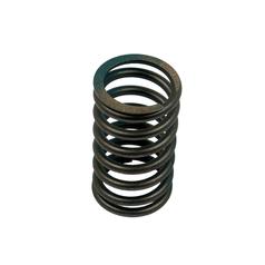 [S.57503] Valve Spring - Outer