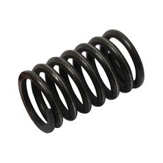 [S.65709] Valve Spring - Outer