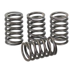[S.65711] Valve Spring - Outer