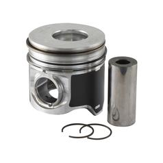 Piston & Ring Set