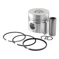 Piston & Ring Set