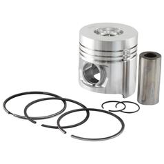 Piston & Ring Set