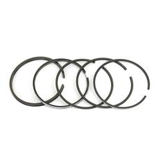 Piston Ring