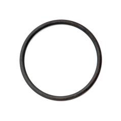 [S.66304] O Ring