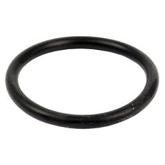 [S.1955] O Ring 3/16'' x 2'' (BS329) 70 Shore