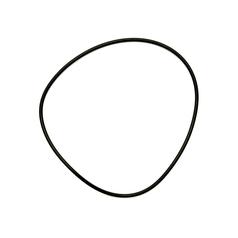 [S.41501] O'Ring - Cannister