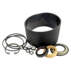 Seal Kit (power Steering Motor s.67898) - Sparex S.67429