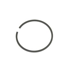 Hydraulic Piston Ring - Sparex S.41472