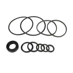 Hydraulic Pump Seal Kit (hydraulic Pump (single Kit Only)) - Sparex S.57973