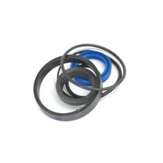 Seal Kit (steering Cylinder - 4wd) - Sparex S.42260