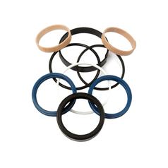 Seal Kit (steering Cylinder 2wd & 4wd Depending On Tractor Models) - Sparex S.41992
