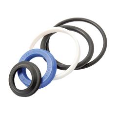 Seal Kit (steering Cylinders) - Sparex S.43809