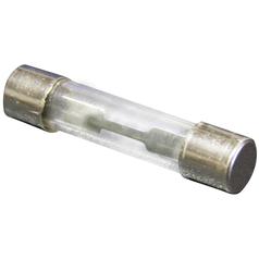 [S.11151] Glass Fuse, Blow Rating: 5.0